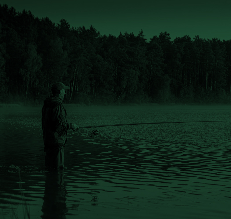 Usługi SEO Zielona Góra