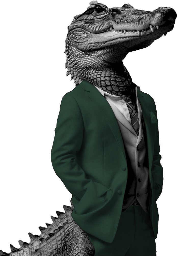 Strony Internetowe Zielona Góra cennik