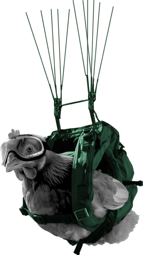 Strony www Zielona Góra