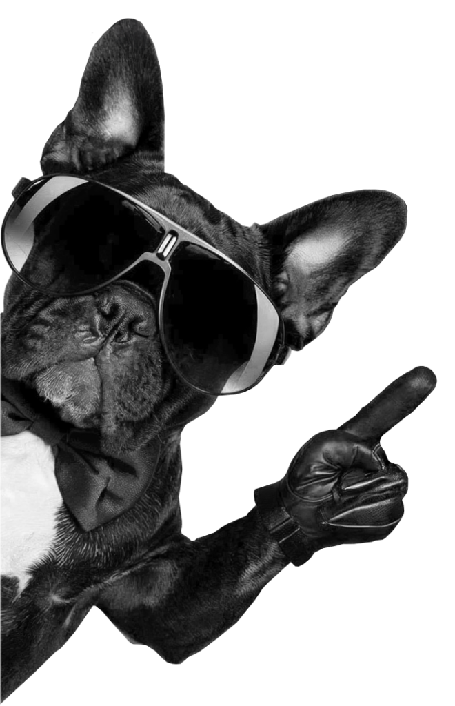 Strony www Zielona Góra