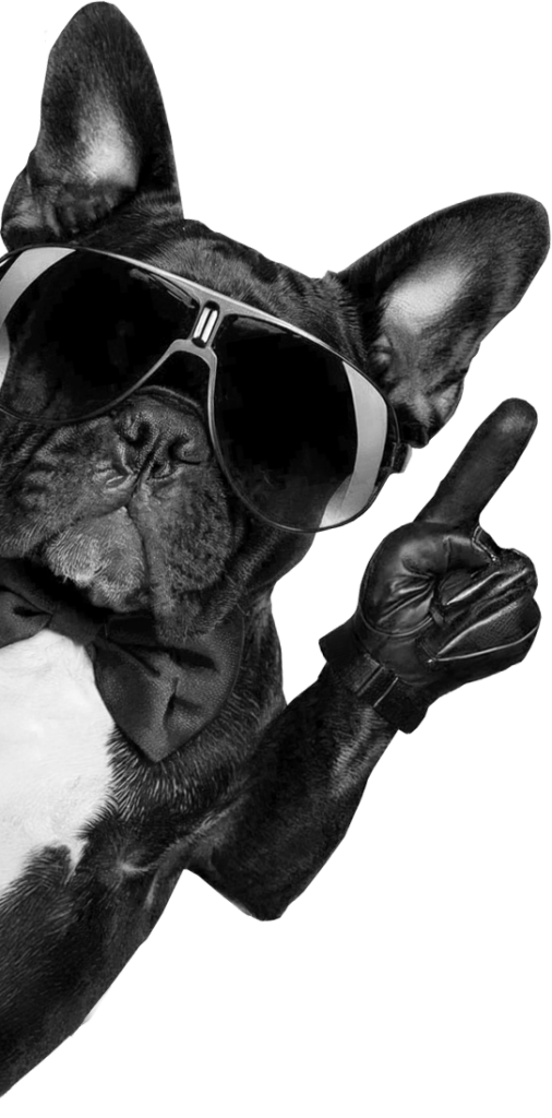 Projektowanie stron Zielona Góra