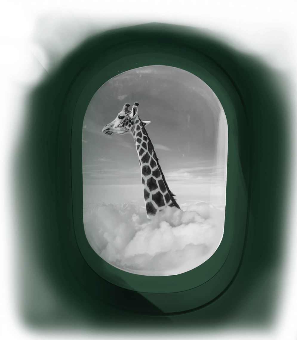 Projektowanie stron Zielona Góra