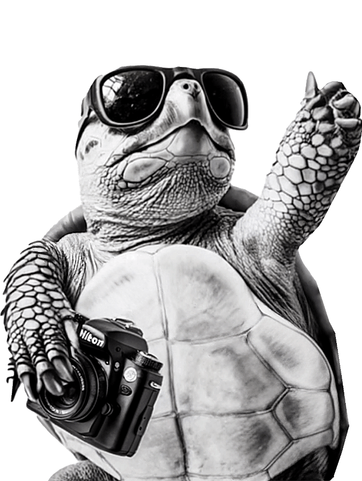 Projektowanie stron Zielona Góra